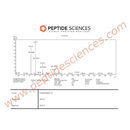 Adipotide (FTPP) 10mg - Peptide Sciences - Peptídeo