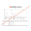 BPC-157 TB-500 GHK-Cu (Glow Blend) 60mg - Peptide Sciences - Peptídeo