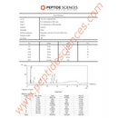 BPC-157 TB-500 KPV GHK-Cu 80mg (Klow Blend) - Peptide Sciences - Peptídeo