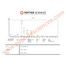 BPC-157 TB-500 Wolverine stack (Blend) - Peptide Sciences - Peptídeo