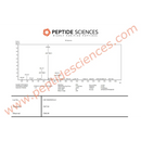 CJC-1295 5 mg - no DAC (Mod GRF 1-29) - Peptide Sciences - Peptídeo
