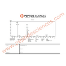 GHRP-2 10mg - Peptide Sciences - Peptídeo