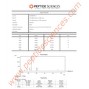 Ipamorelin 10 mg - Peptide Sciences - Peptídeo