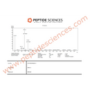MGF IGF-1 Ec 5mg - Peptide Sciences - Peptídeo