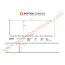 MOTS-c 10mg - Peptide Sciences - Peptídeo