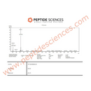 Pinealon 20mg (Bioregulator) - Peptide Sciences - Peptídeo