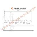 VIP 6mg - Peptide Sciences - Peptídeo